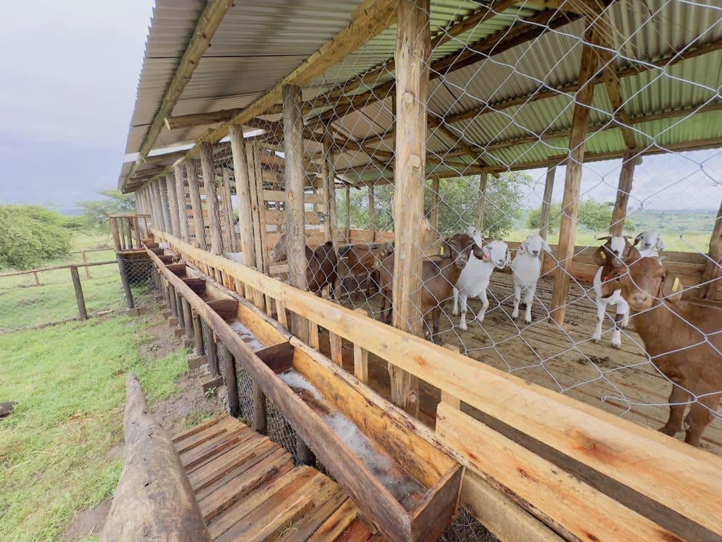 City Park Farm training facility
