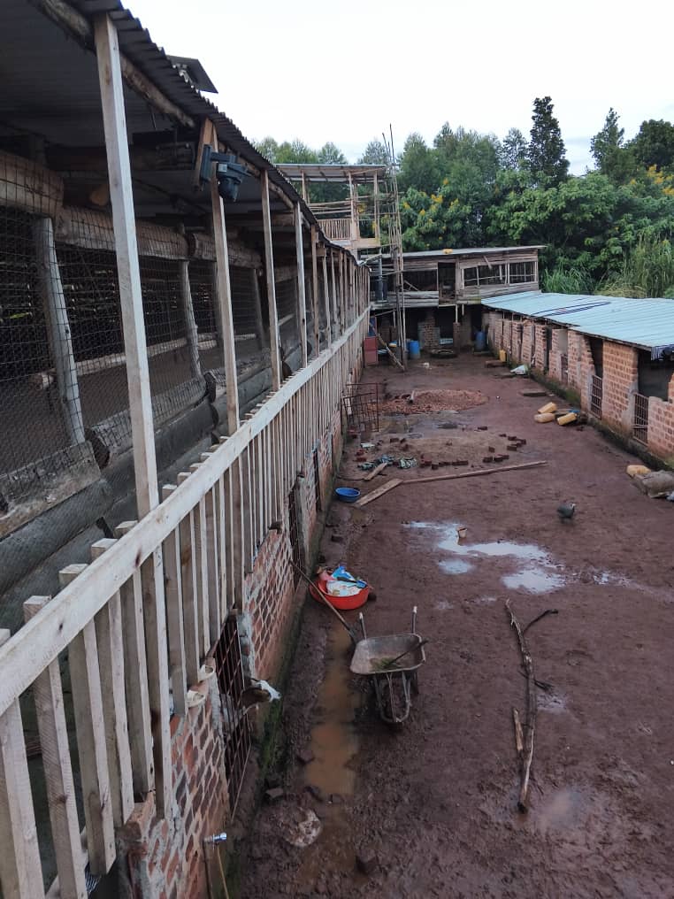 Modern farming equipment