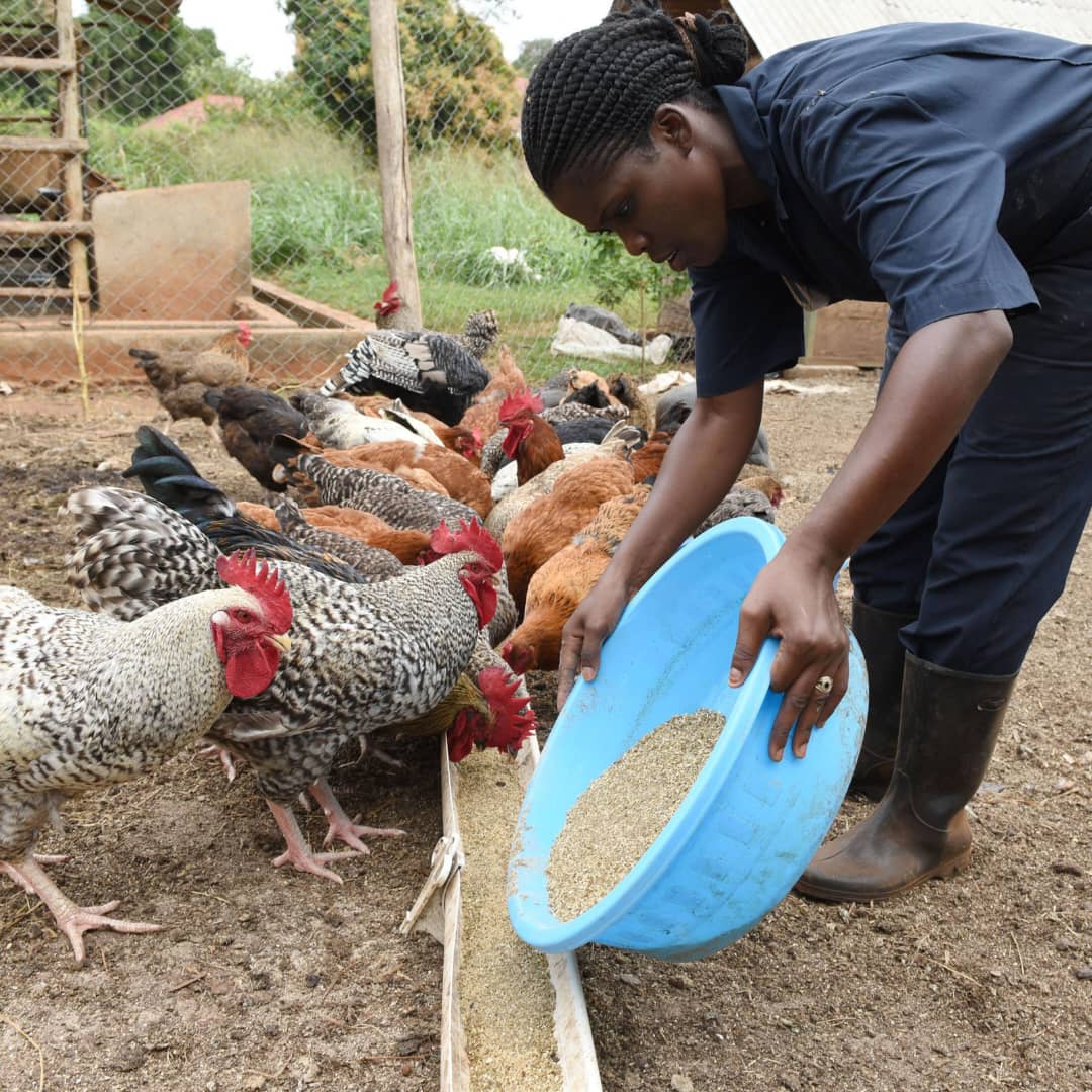 Students learning crop planting techniques