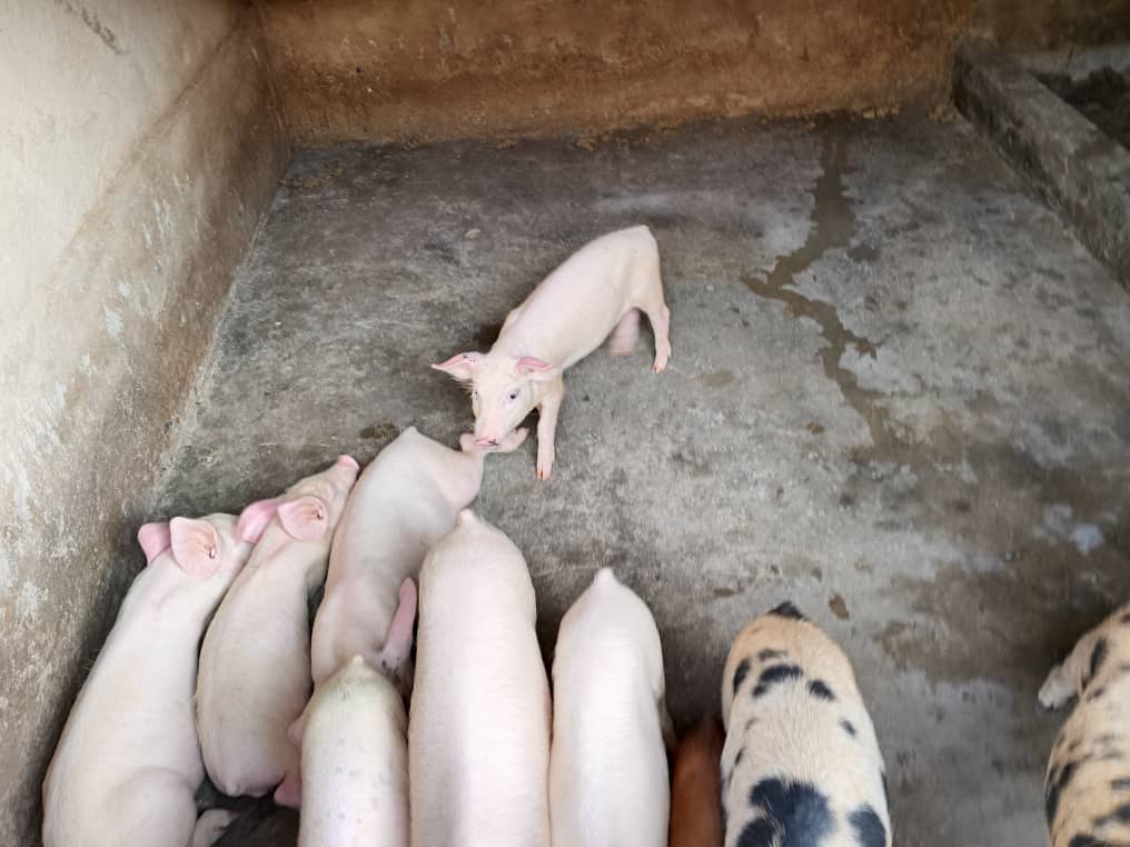 Students in classroom session